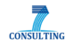 7 Consulting